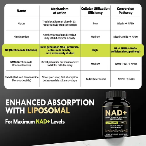 Vista 3 de Suplemento NAD de 1800 mg - NAD+ licotinamida ribósido NR con resveratrol para mujeres y hombres - Aumenta los niveles de NAD Plus, avanzado, salud