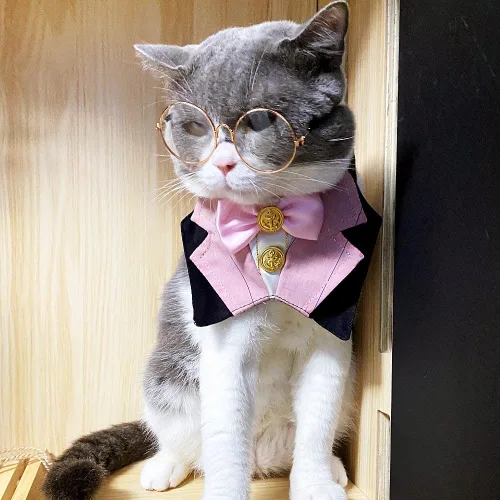 Vista 2 de Collar de bandana formal de boda para perro y gato con pajarita y gafas de sol (rosa)