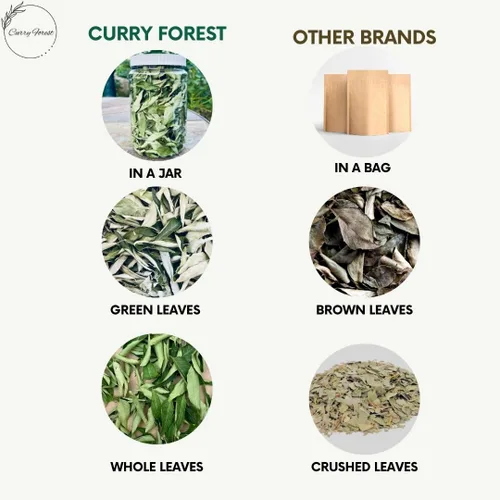 Vista 3 de CurryForest Hojas de curry secas de primera calidad, 100% naturales, sin pesticidas, cultivadas en Estados Unidos, secado al aire, 0.35-0.53 oz