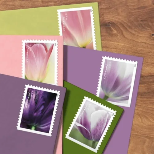 Vista 3 de USPS 2023 Tulip Blossom Forever - Sellos postales de primera clase (20 unidades)