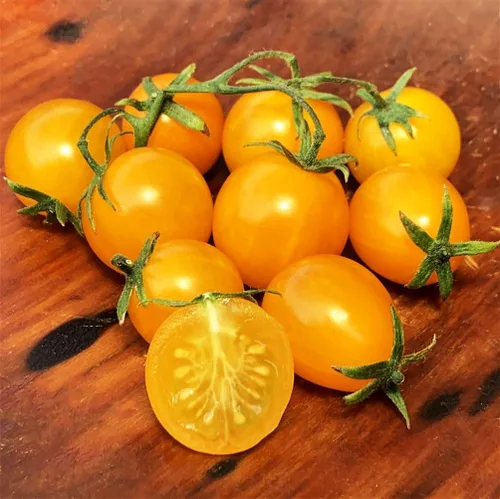Vista 7 de Más de 100 semillas de tomate cereza amarilla enana de patio, variedad súper dulce, semillas de jardín