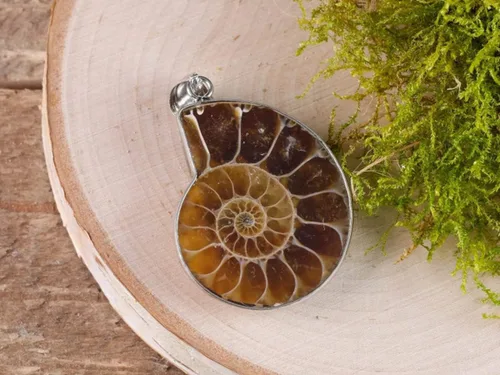 Vista 7 de gemhub Collar con colgante de plata de ley 925 de caracol fósil de amonita de piedra natural para mujeres y hombres, regalo del día de San Valentín