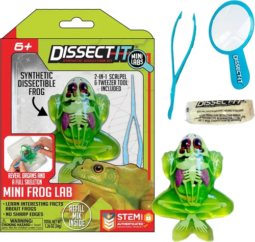 Vista 11 de Discover-It Kit de disección para niños, kit de laboratorio científico de ámbar sintético para aprender sobre insectos, juguetes científicos