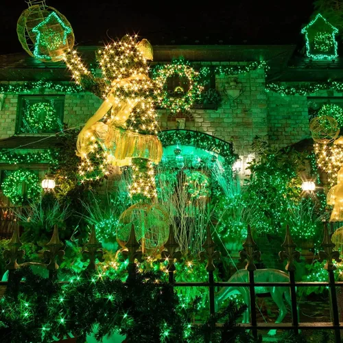 Vista 7 de TW SHINE Luces de Navidad verdes, 200 luces LED de Navidad para exteriores de 66 pies enchufables con 8 modos, cable verde impermeable, luz del día