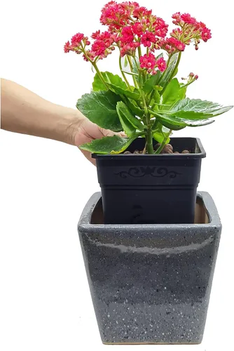 Vista 3 de Macetas cuadradas de plástico de 0.5 galones para plantas de interior y exterior, paquete de 10 con agujeros de drenaje, macetas de vivero de 5