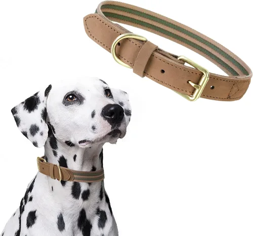 Vista 16 de Mile High Life Collar ajustable de polialgodón suave y fuerte con hebilla de liberación rápida para perros pequeños a grandes