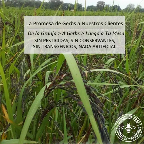 Vista 4 de Mezclas de arroz por Gerbs–Top 10 sin alergénos–Natural– orgánico y sin OMG