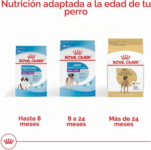 Vista 5 de ROYAL CANIN Great Dane - Alimento seco para perros adultos, bolsa de 30
