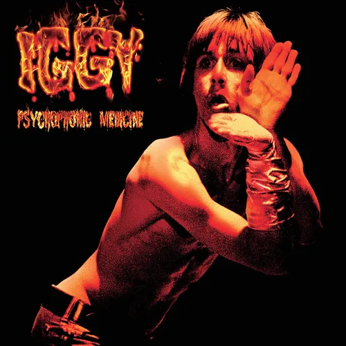 Vista 2 de Psychophonic Medicine