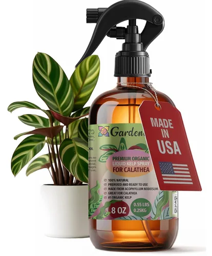 Vista 38 de GARDENERA Spray orgánico profesional de algas marinas para plantas AGLAONEMA – 8 oz – Rocío fertilizante de algas marinas y algas marinas totalmente