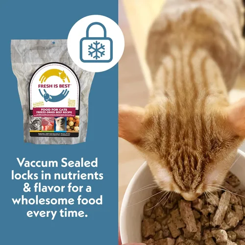 Vista 7 de Fresh Is Best Alimento liofilizado de carne de res para gatos, alimento crudo para gatos y felinos adultos, carne de res liofilizada con alto