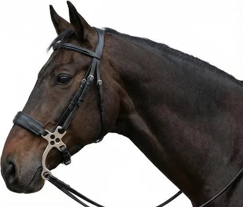 Vista 3 de CHALLENGER Caballo cuero corto mango acolchado Noseband entrenamiento Hackamore Curb Strap 35H69