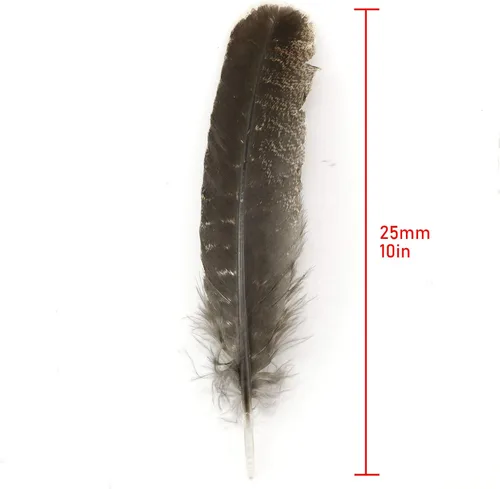 Vista 2 de ZZHXSM 12 plumas de pavo natural de 8 a 10 pulgadas para hacer manualidades, decoración de ropa, familia, boda, decoración de fiesta de cumpleaños