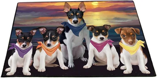 Vista 27 de Doggie of the Day Tapete Rat Terrier para perros, 4 de julio, Día de la Independencia, el mejor felpudo para perro, decoración protectora, arte