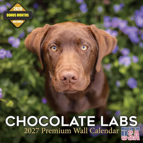 Vista 90 de Calendario de Lebrel Afgano 2025 2026, calendario mensual de pared de raza canina, 12" x 18" abierto, papel grueso sin traspaso, ideal para regalo