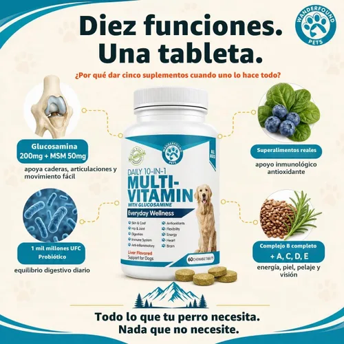 Vista 2 de Wanderfound Pets Multivitamínico 10 en 1 para perros, vitaminas diarias con glucosamina, MSM, probióticos y vitamina D3, sabor a hígado, 60 tabletas