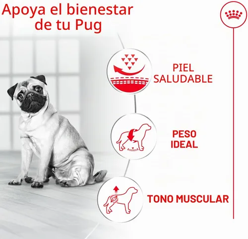 Vista 5 de Royal Canin Pug - Alimento seco específico para perros de raza adulta, bolsa de 10 libras Weight Management, Skin Barrier Support, For Adult Pugs