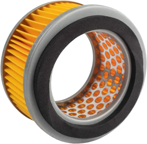 Vista 2 de Filtros de admisión de compresor de aire para modelos Puma 5 Hp a 7 1/2 HP
