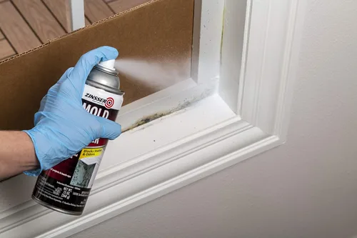 Vista 3 de Rust-Oleum Zinsser 287512 - Base en aerosol con bloqueo de moldeo, 13 onzas, color blanco