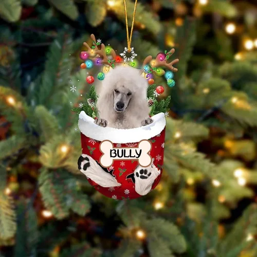 Vista 71 de IZI POD Affenpinscher Adorno de Navidad personalizado para perro, adorno de bolsillo de nieve para perro para árbol de Navidad, adorno acrílico