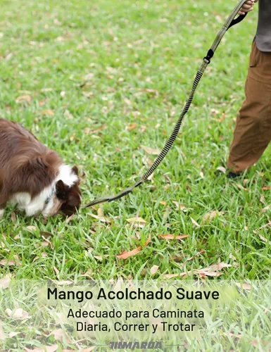 Vista 5 de TINMARDA Correa de perro resistente con 2 asas acolchadas y clip de metal avanzado fácil de usar, correas de perro de 4 a 6 pies que absorben golpes