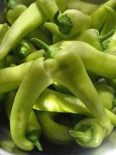 Vista 4 de Pimienta, plátano dulce, reliquia, 25 semillas, dulce y suave ideal en ensaladas