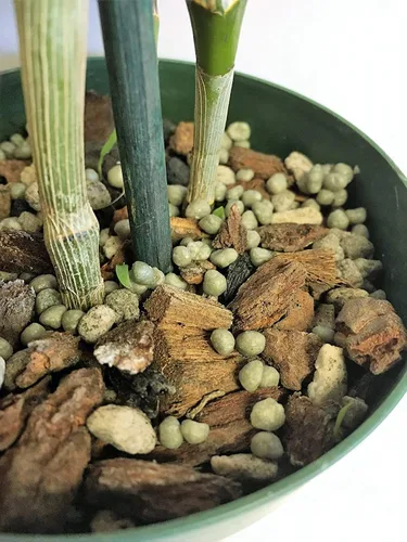 Vista 7 de Nutricote 18-6-8 Fertilizante para orquídeas de liberación lenta 15 oz – 180 días multiusos