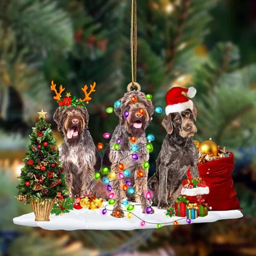 Vista 32 de Nazenti Adorno de Navidad personalizado con amigos Affenpinscher – Adorno de perro personalizado para amantes de las mascotas, acrílico plano