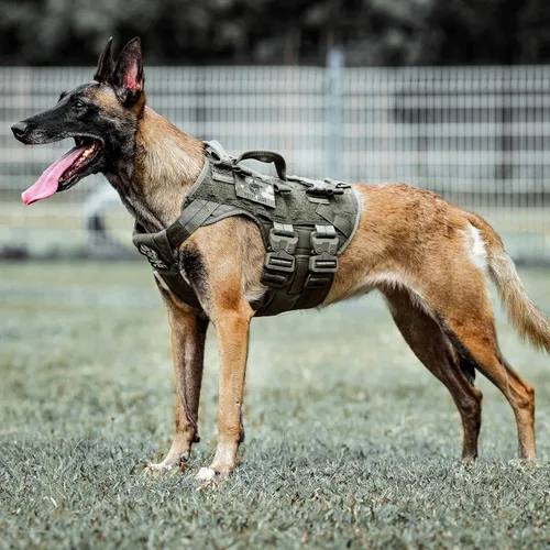 Vista 7 de PETAC GEAR Arnés Táctico para Perros K9 Chaleco de Entrenamiento para Perros Ajustable Acolchado para Perros de Servicio Policial de Trabajo Negro