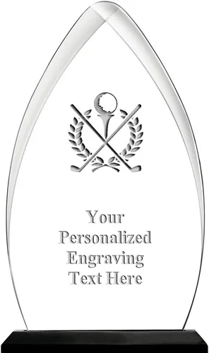 Vista 32 de Crown Awards Premio acrílico personalizado de 9.25 pulgadas de Gateway Skyline