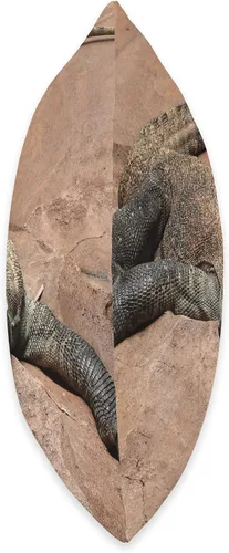 Vista 2 de Komodo Dragon Merch Komodo Dragon - Almohada de 16 x 16 pulgadas, multicolor