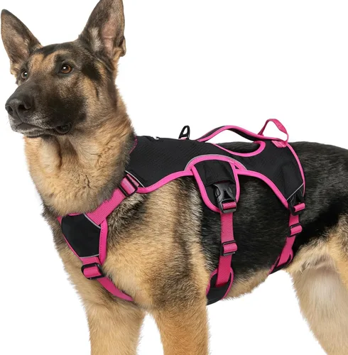 Vista 52 de rabbitgoo - Arnés para perros a prueba de fugas, arnés para mascotas acolchado y suave de cuerpo completo, arnés reflectante ajustable sin tirones