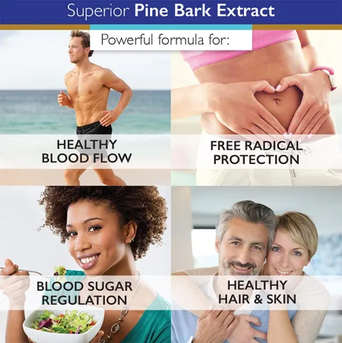Vista 6 de Superior Labs Extracto de corteza de pino 200 mg, 95% OPC, circulación, 90
