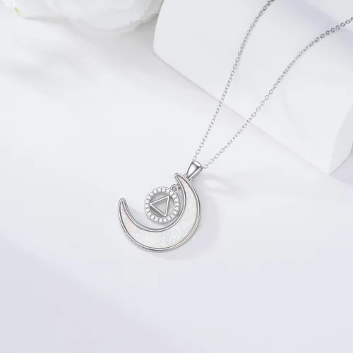 Vista 6 de KQF DragonflyHummingbirdHedgehogOwlSobrietyAngel Wings Necklace Sterling Silver Moon Necklace Dragonfly Gifts For Dragonfly Lovers Gifts Wife Mom