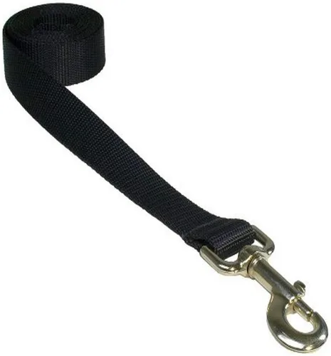 Vista 16 de Correa de nailon rojo mediano para perro: 3/4" de ancho, 6 pies de longitud - fabricada en Estados Unidos.
