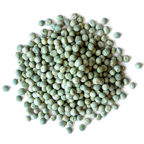 Vista 3 de Food to Live Guisantes verdes secos enteros orgánicos, 8 onzas, sin OMG, vainilla verde, germinable, vegano, kosher, a granel. Necesita remojo