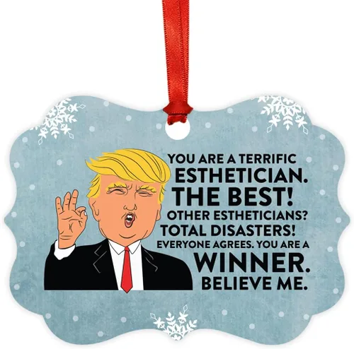 Vista 97 de Andaz Press Presidente Donald Trump Fancy Frame Recuerdo Adorno de Navidad Regalo de broma Ejecutivo de Cuenta, 1 paquete, Divertidas Ideas