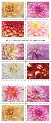 Vista 2 de Dahlias 2025 (Libro de 20) Sellos Postales Forever de Primera Clase