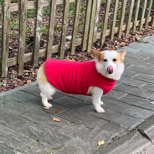 Vista 7 de Chaleco de invierno para perro, cálido, transpirable, chaleco de forro polar para perro, abrigo de invierno ligero con agujero para correa