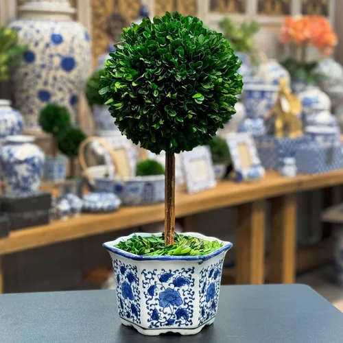 Vista 10 de Galt International Árbol topiario de bola de boj preservado naturalmente en maceta redonda de cerámica pintada a mano azul y blanca – Decoración
