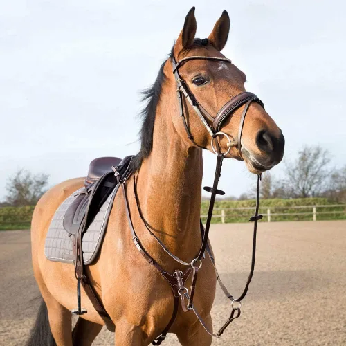Vista 9 de Horze Peto ajustable de 3 puntos - Negro - Caballo
