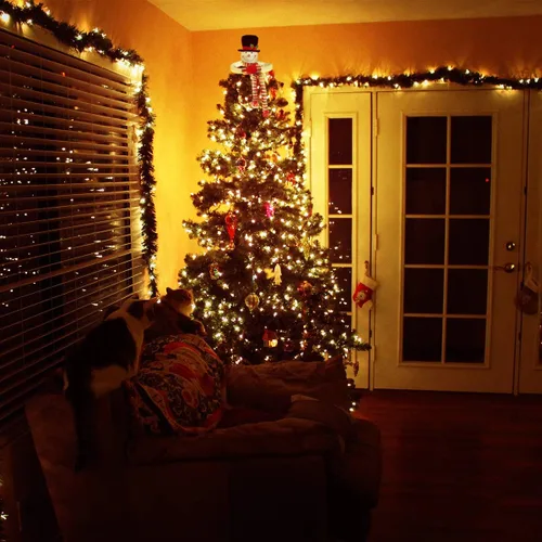 Vista 7 de TOYMYTOY Decoración para árbol de Navidad, muñeco de nieve para invierno, fiesta del país de las maravillas, Acción de Gracias, Año Nuevo