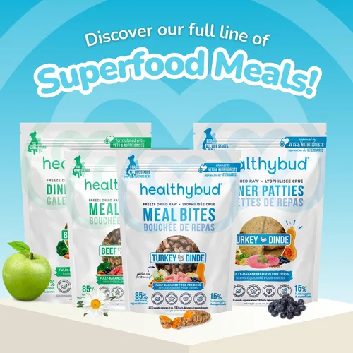 Vista 8 de healthybud Alimento crudo para perros, hamburguesas de carne liofilizadas, alimento para cachorros sin granos, grado humano, alto contenido