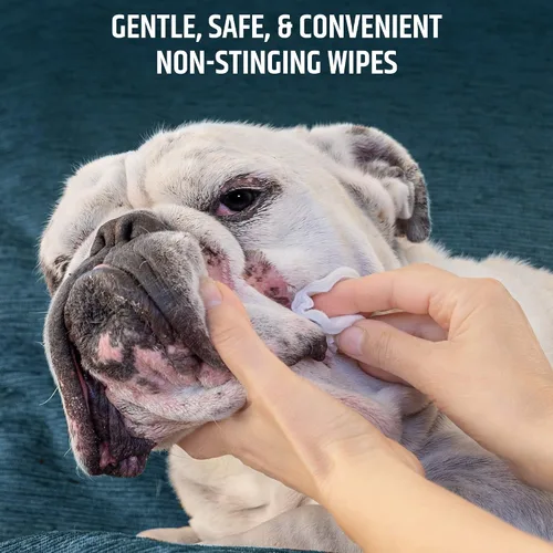 Vista 6 de Pet MD Toallitas tópicas para limpieza - con aloe para gatos y perros - 50