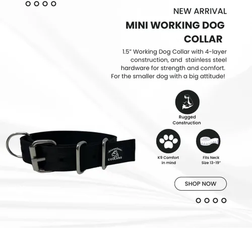 Vista 3 de SparkDog - Collar de perro resistente de 1.5 pulgadas, correa ajustable de grado de cinturón de seguridad con herrajes de acero inoxidable