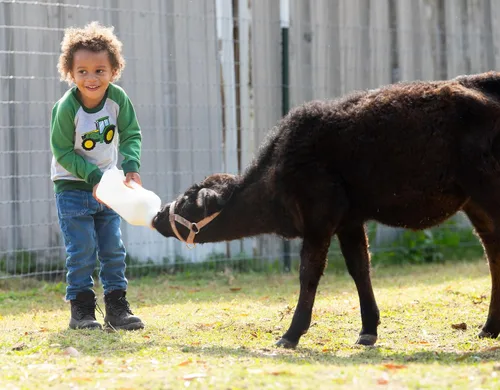 Vista 2 de John Deere Ropa para niños Sudadera para niños pequeños