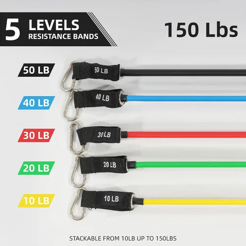 Vista 2 de Fitvids Juego de bandas de resistencia – Bandas de ejercicio de 5 niveles para fitness en casa, terapia física y entrenamiento de fuerza
