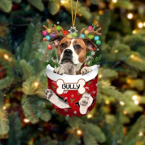 Vista 186 de IZI POD Affenpinscher Adorno de Navidad personalizado para perro, adorno de bolsillo de nieve para perro para árbol de Navidad, adorno acrílico