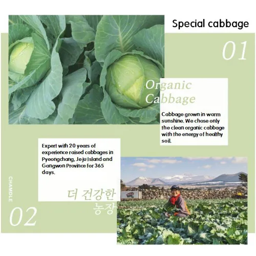 Vista 2 de Paquetes de jugo de col orgánica 10 paquetes [3.4 fl oz]/regalo/comida saludable/bebida/padres/niños/precio especial/concentrado/jugo de verduras