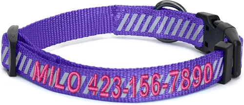 Vista 10 de Collar de entrenamiento reflectante para perros, de la marca Pawtitas, Negro